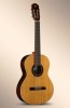 Guitarra Alhambra 1 C HT (consultar precio)