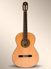 Guitarra Alhambra Flamenca 3 F G (consultar precio)