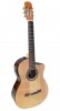 Guitarra Rocio EC