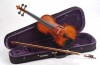 Violin iniciación Amadeus VA 201