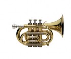 Trompeta Si bemol J. Michael Pocket TR350
